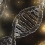 Update on genetics of PSC