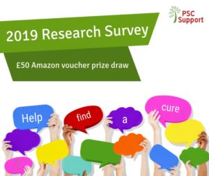 PSC Support 2019 Research Survey