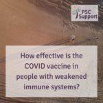 How effective are vaccines web
