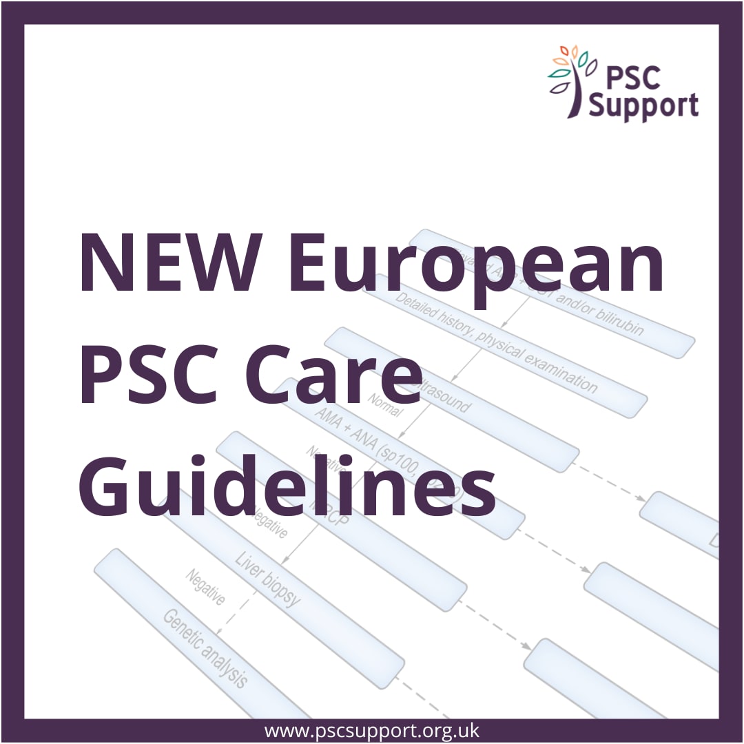 European PSC Care Guidelines
