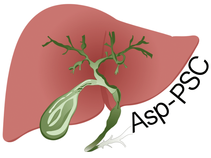 Asp-PSC-logo2