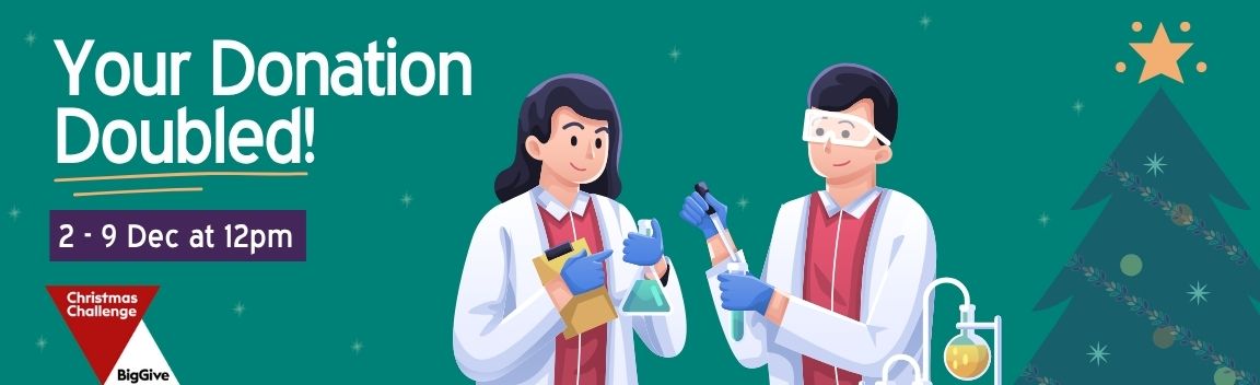 Big Give Christmas Challenge Banner Image Options