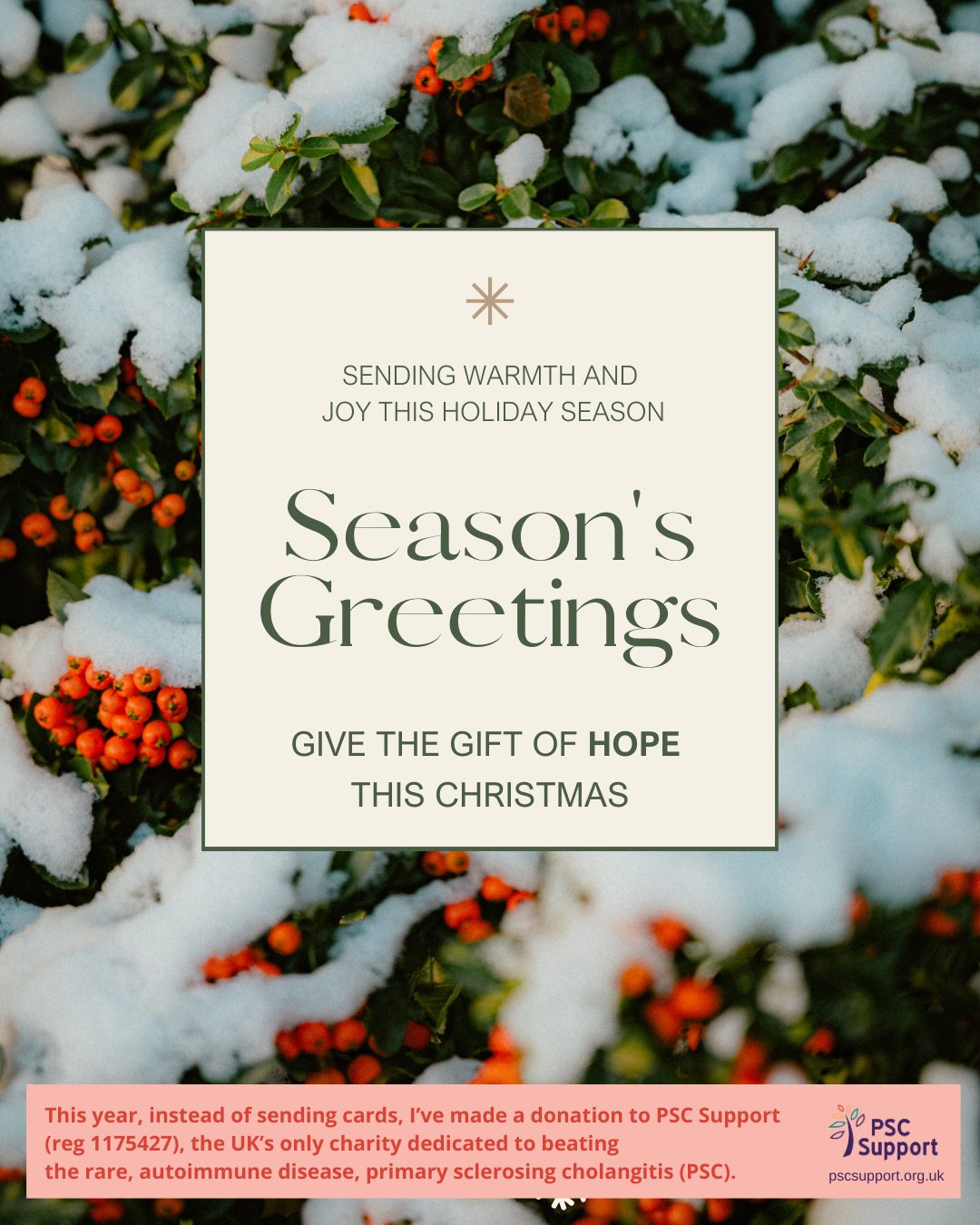 4 - PSC Support ECard Share for a donation