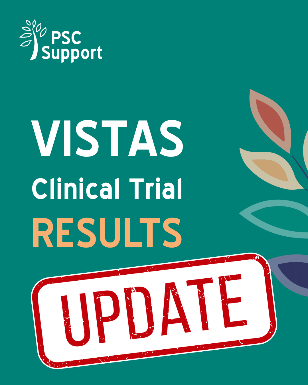 VISTAS RESULTS UPDATE