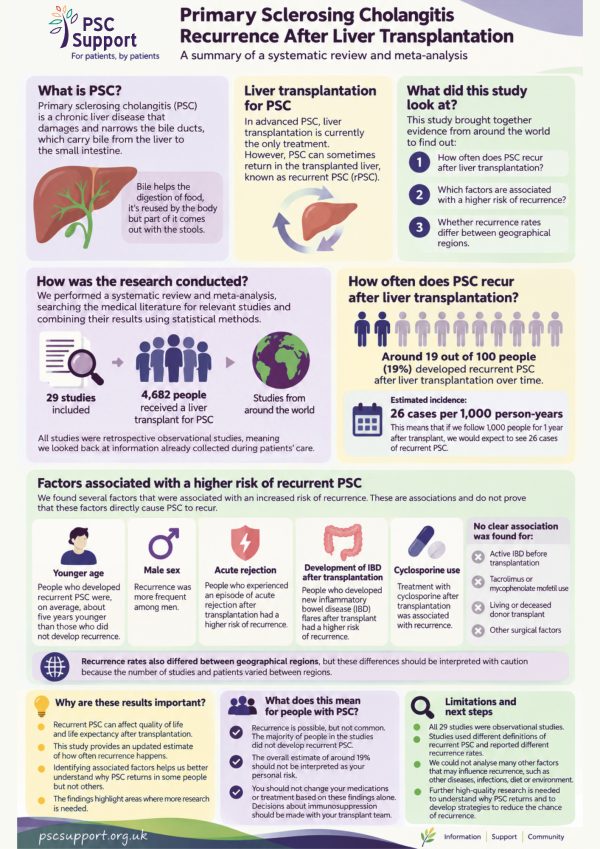 Graphic summary of rPSC research - Primary Sclerosing Cholangitis Recurrence After Liver Transplantation Research Explained by Isabelle Castro Vitor