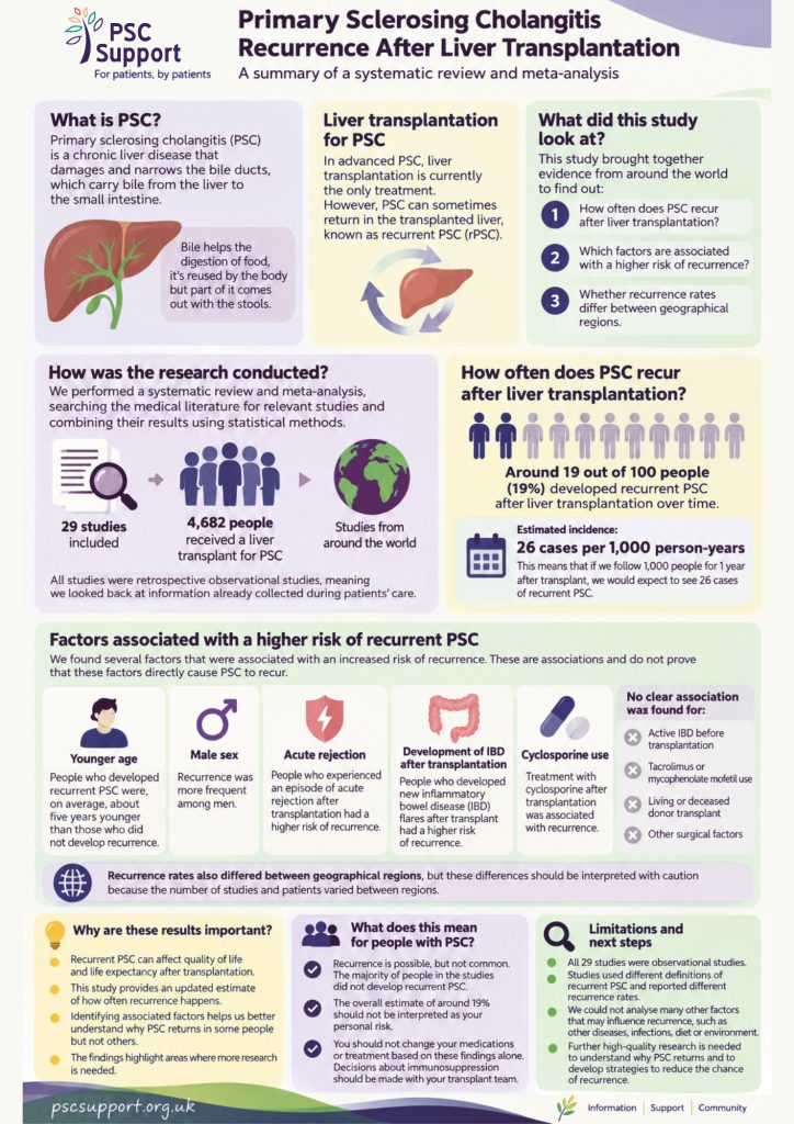 Graphic summary of rPSC research - Primary Sclerosing Cholangitis Recurrence After Liver Transplantation Research Explained by Isabelle Castro Vitor
