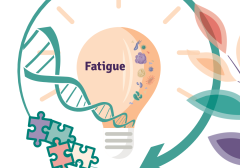 Research explained by PSC Support graphic for fatigue