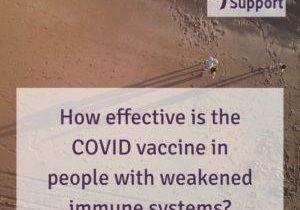 How effective are vaccines web
